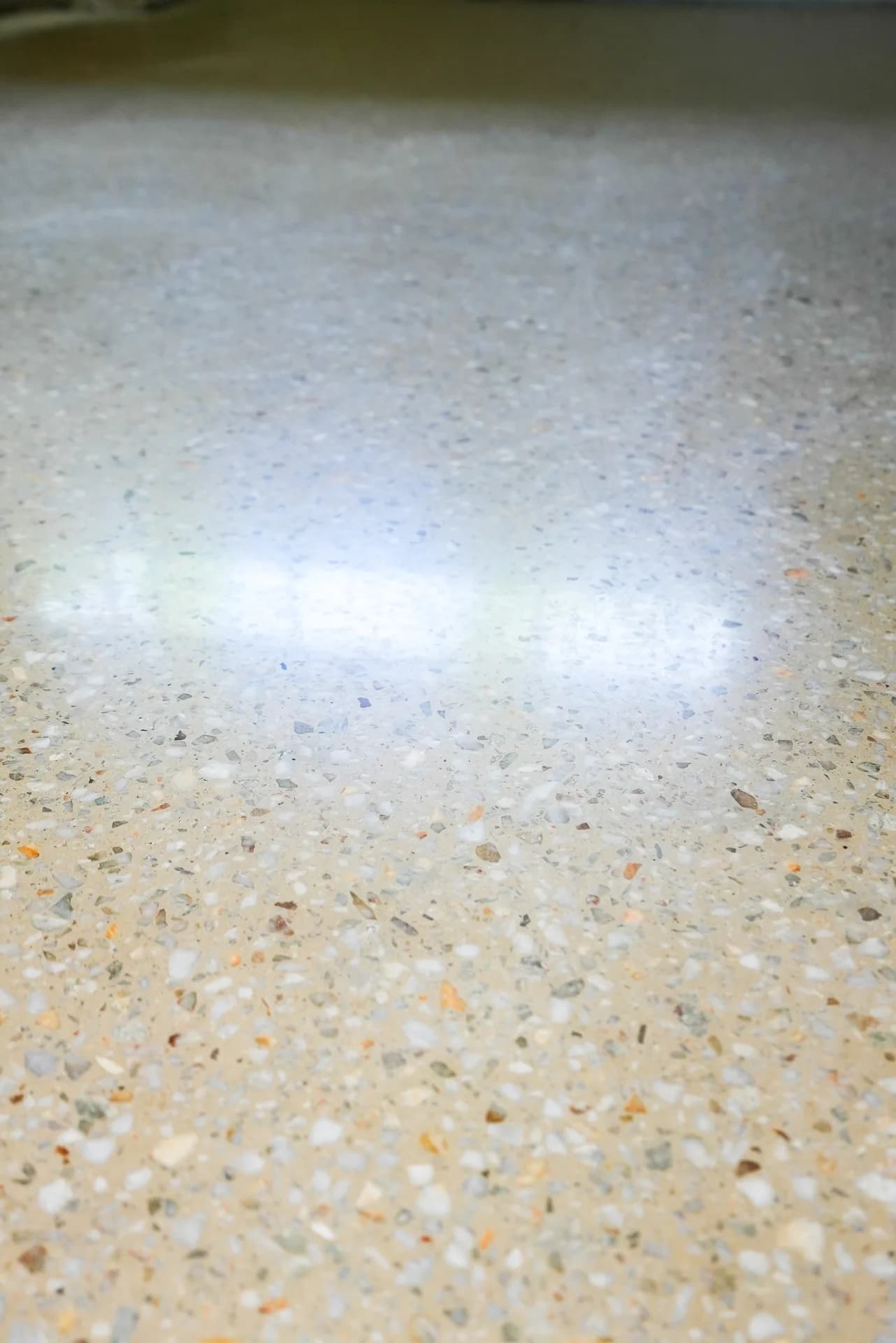 Close-up of exposed aggregate polished concrete floor on a Brisbane commercial project showing stone detail