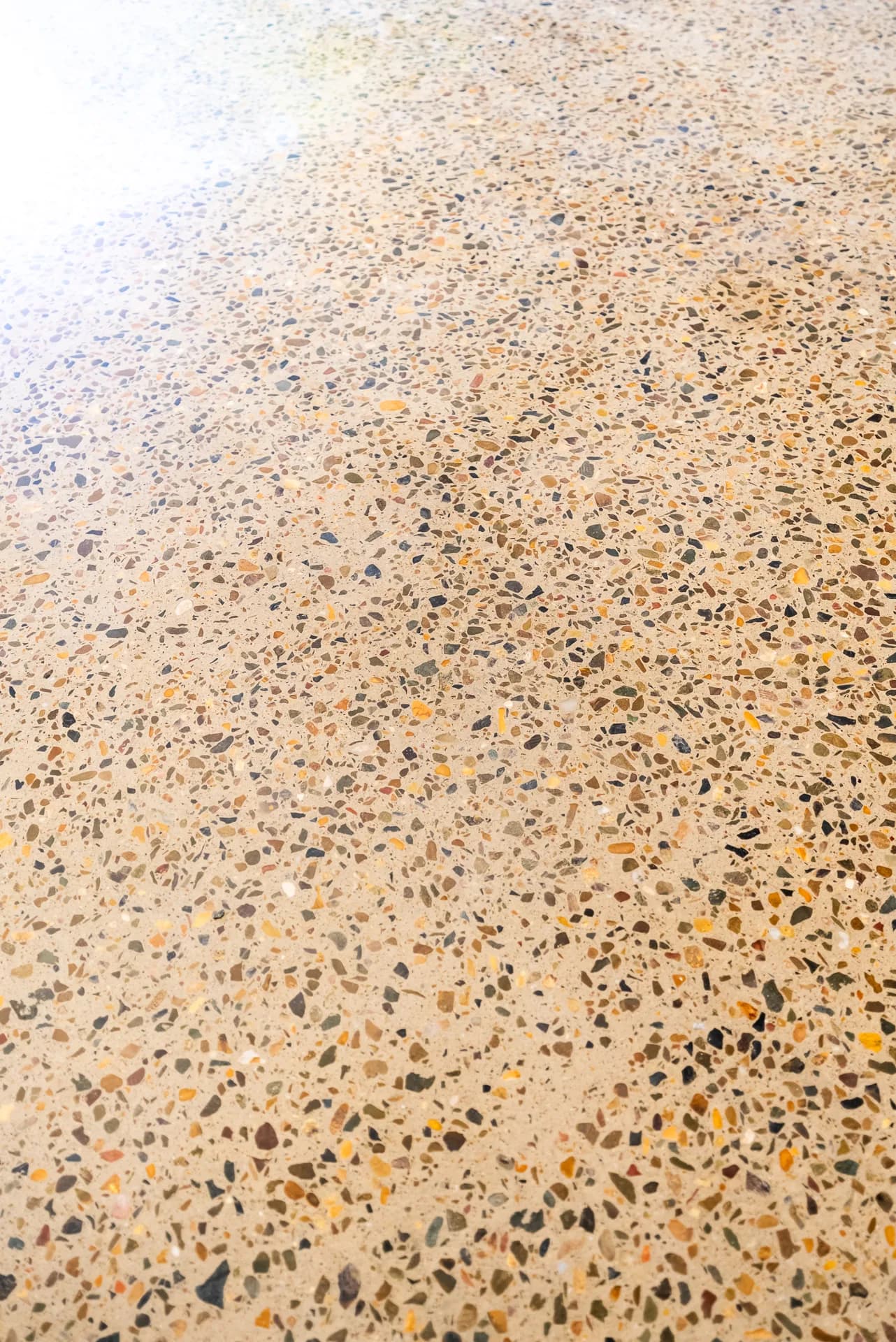 Close-up of the finished honed concrete floor showcasing smooth surface quality